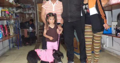 ORGANIZACION DE PROTECCION Y DEFENSA ANIMAL PELUDITOSORG ORGANIZACION DE PROTECCION Y DEFENSA ANIMAL PELUDITOSORG